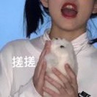 偏科怪