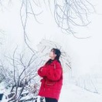 路上有微光442