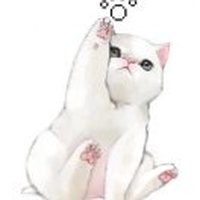 好运大熊