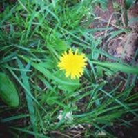 EricSUN938