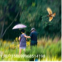 创作者158699968514198