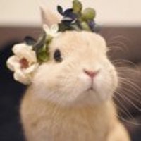 背后有双眼