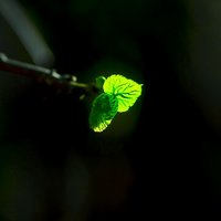 国智_心明