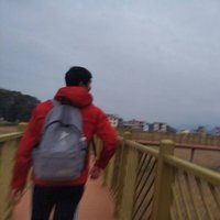 小猫追鱼-追光
