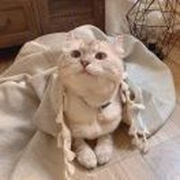 147杨十七