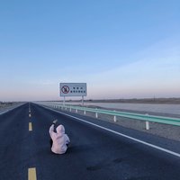 是霸王龙
