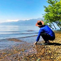 菩提树下冥思