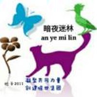 暗夜迷林