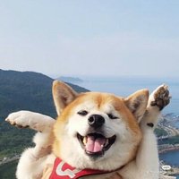 萌小旺