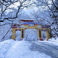 大脑壳1998