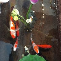紫玥君