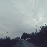 葳葳1