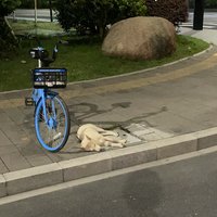 帐号停用
