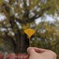 贪欢一晌
