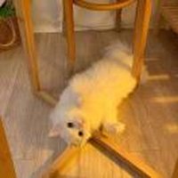 许先生ymahsyhqdsg_1608227295_1608227303