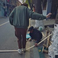 南美无尾大水鼠