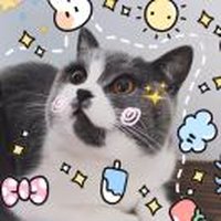芝麻糊爱喝酸奶