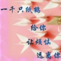 风雨无阻505