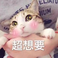 叶落随风TvT