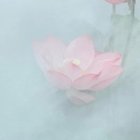 云溪夜雨