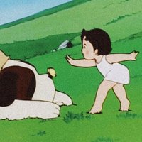 蔓山遍野茶树开花