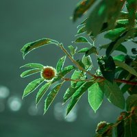 快门瞎按