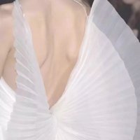 醉花树