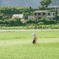 丫丫呀479
