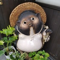 野猴子poe