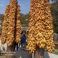 摄影师风景在路上