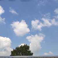 小建老师