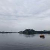 沙漠鱼鱼