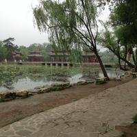 上药三品
