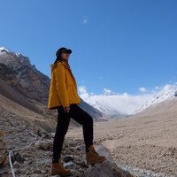 upinthewind等风来