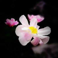 景色物语