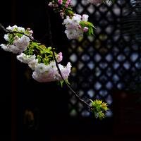 秋水文章