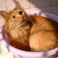 叠翠苑