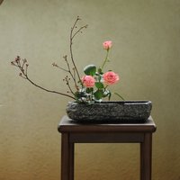 苏韵涵
