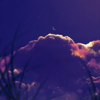 風月輕吟