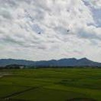 深圳瑞智聂祖文