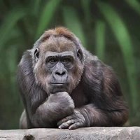 小眼儿看世界