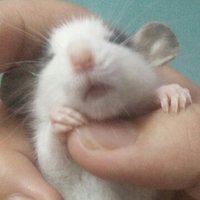 啦啦啦啦6