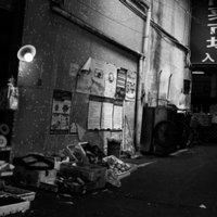 小爽儿_