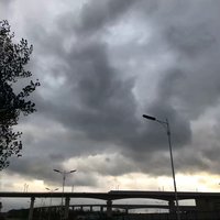 南桥Bridge