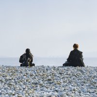 流光糜苏