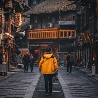 鹏城欣子