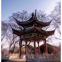 陈传仁