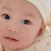 邹少同学