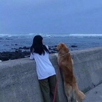 Flipped_zxq