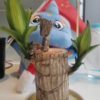 冷风a增国